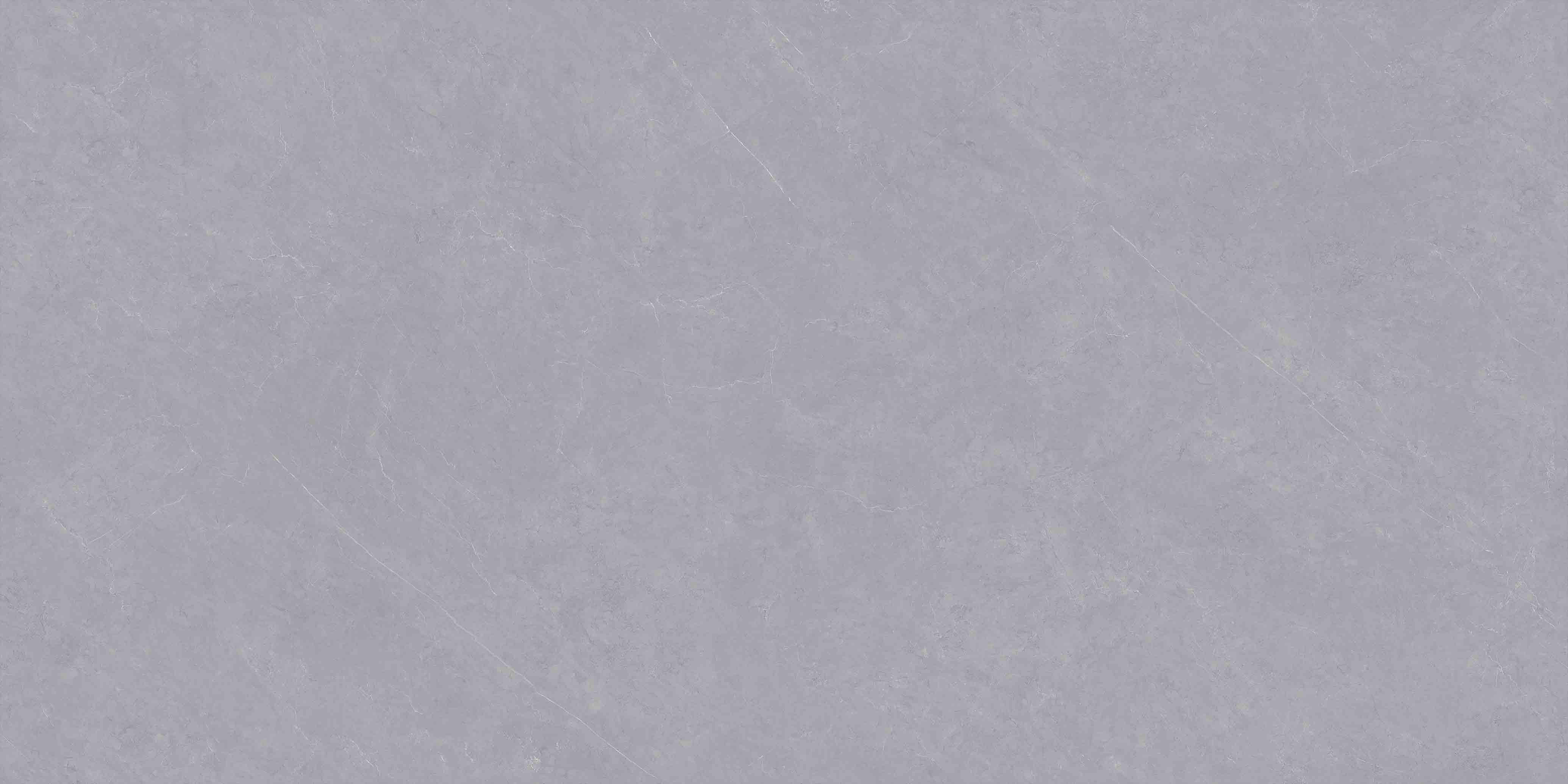 NO.LV61005