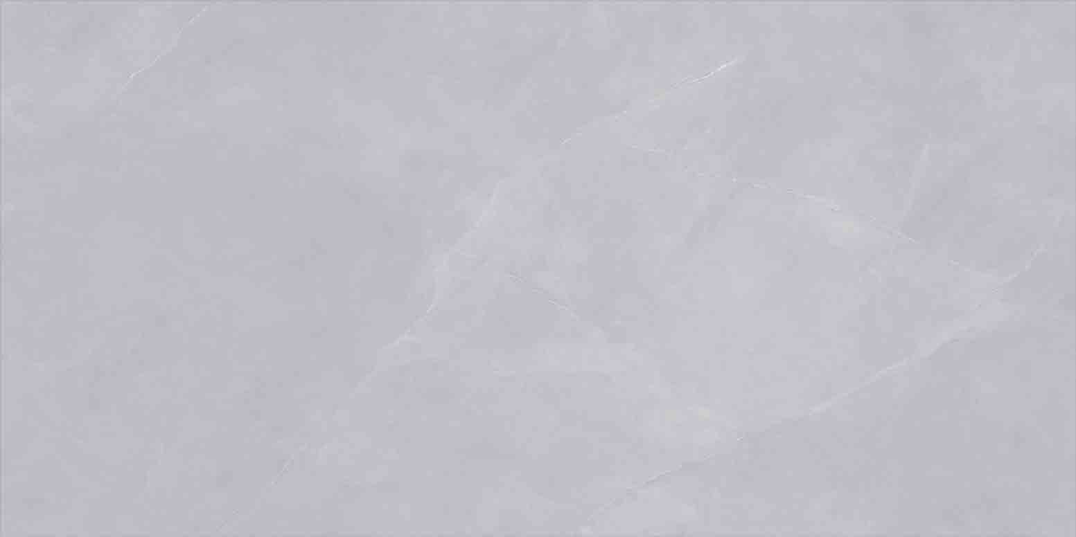 NO.LV61011