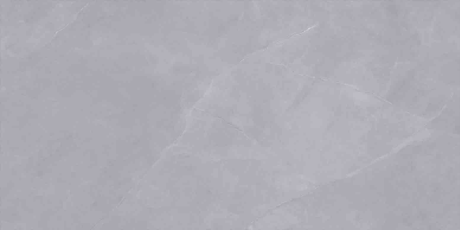NO.LV61012
