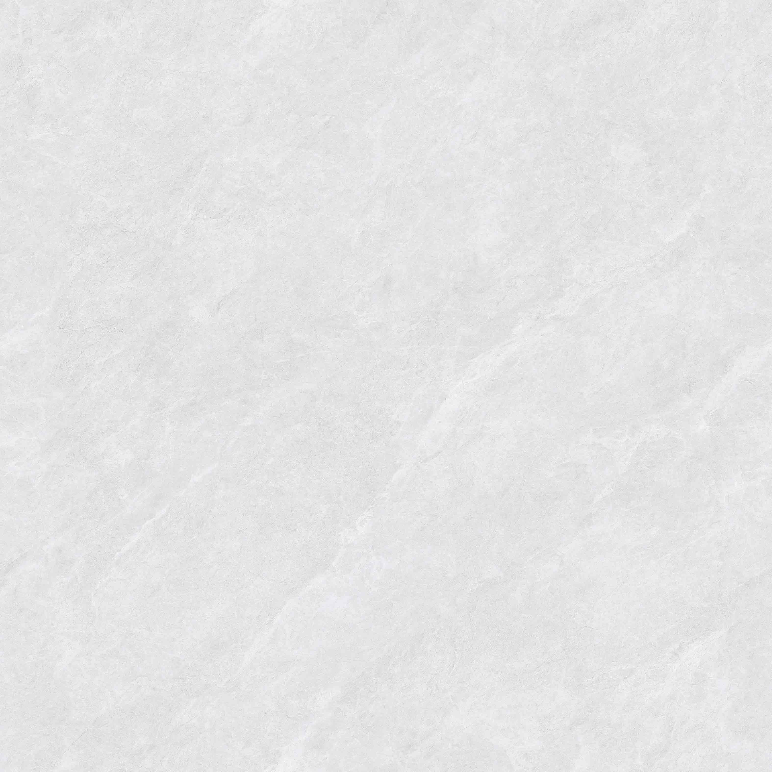 NO.LV8805